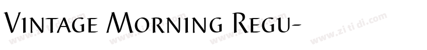 Vintage Morning Regu字体转换